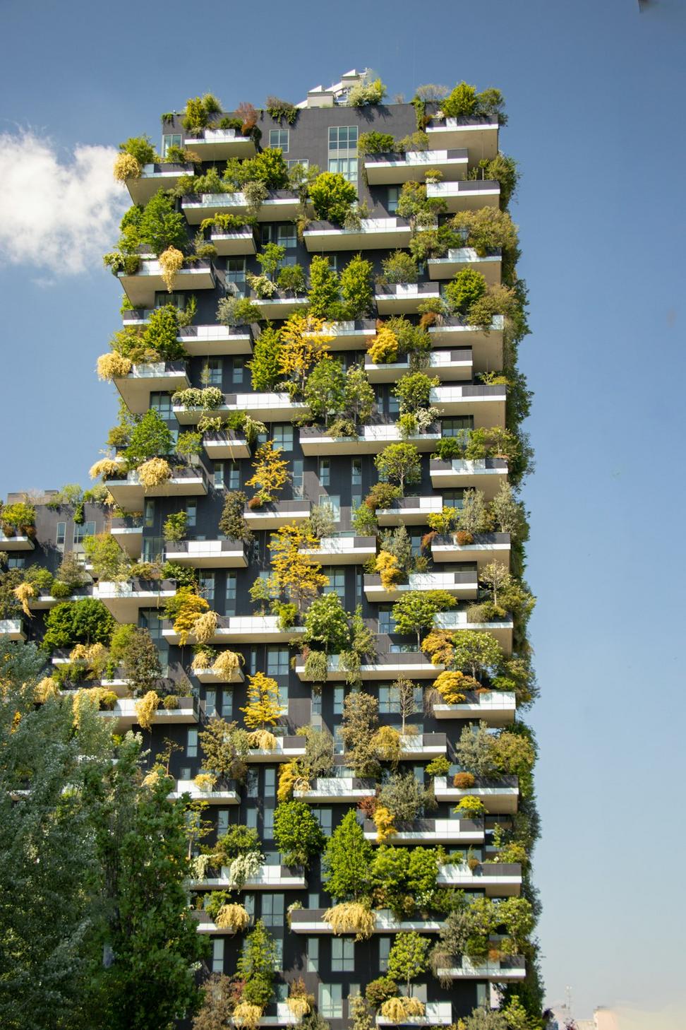 Carbon neutral design